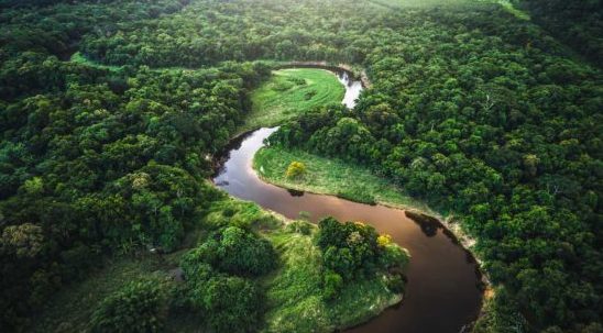 ДЖУНГЛИ: амазонии важны для всей планеты