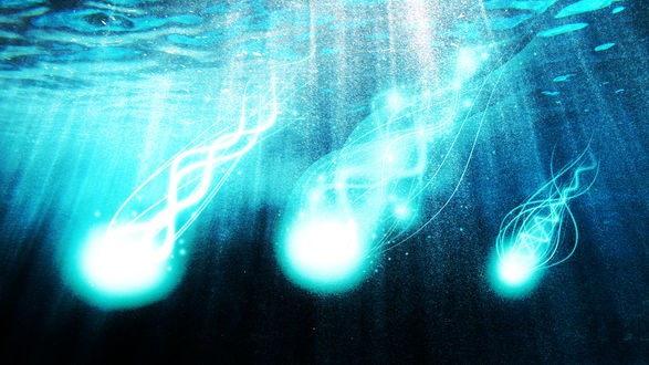 подводные светящиеся шары